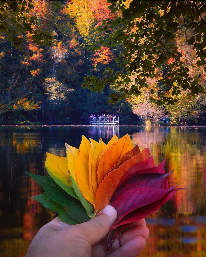 colors of life