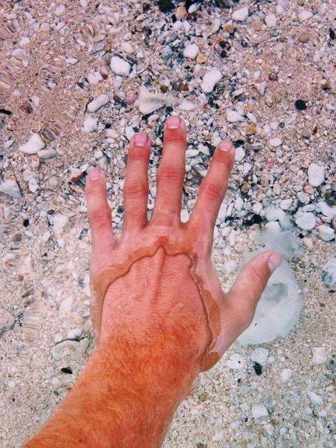 Flathead Lake