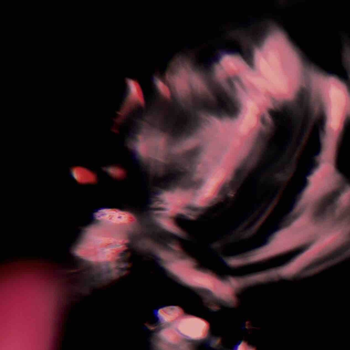 ⠀