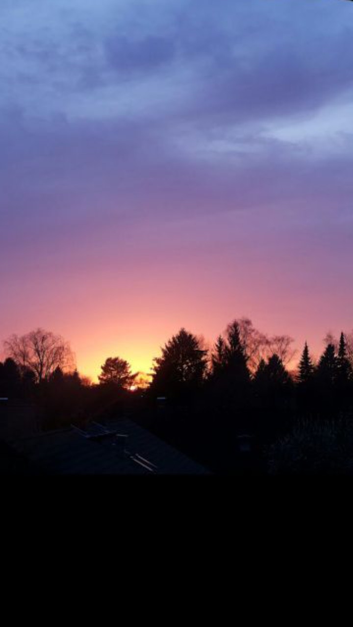 sunset