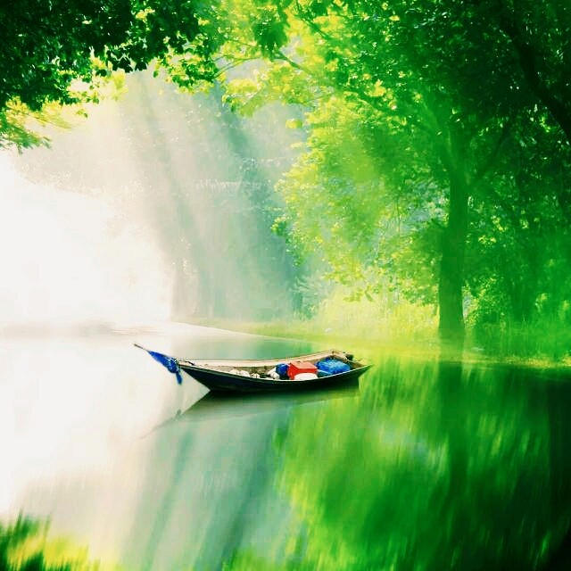 Mann's pic
