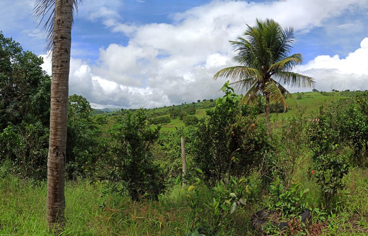 Landscape