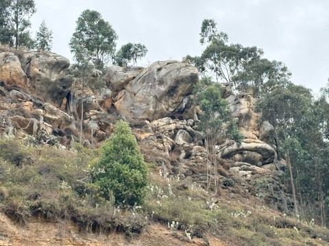 geology, vegetation achtergronden