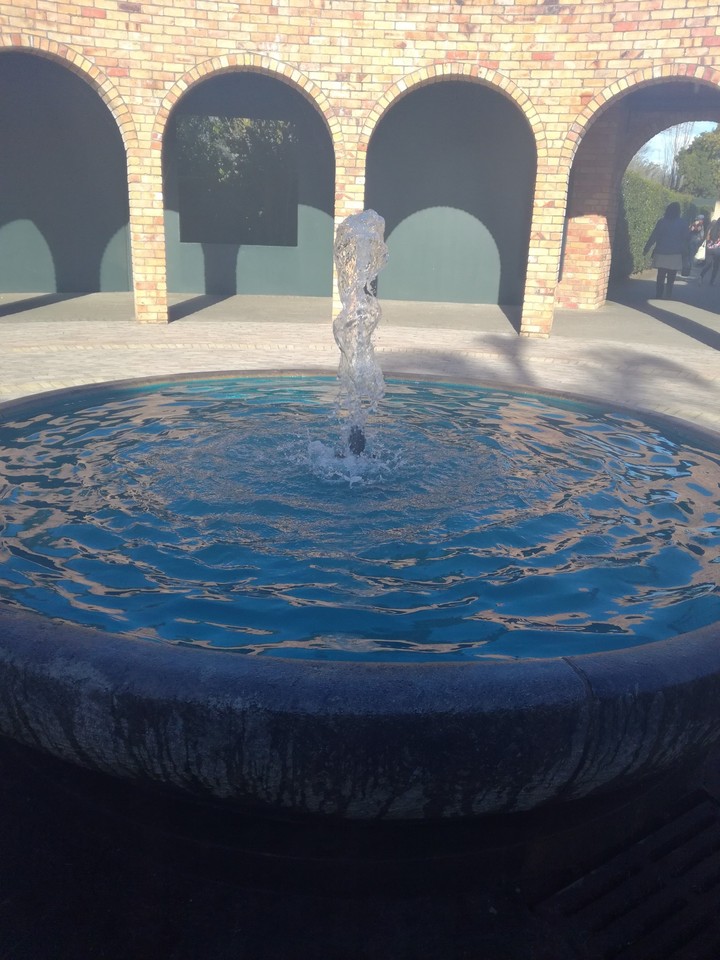Water fountain at Hamilton Garden