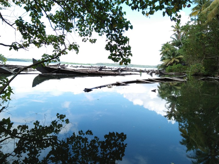 Nature beauty