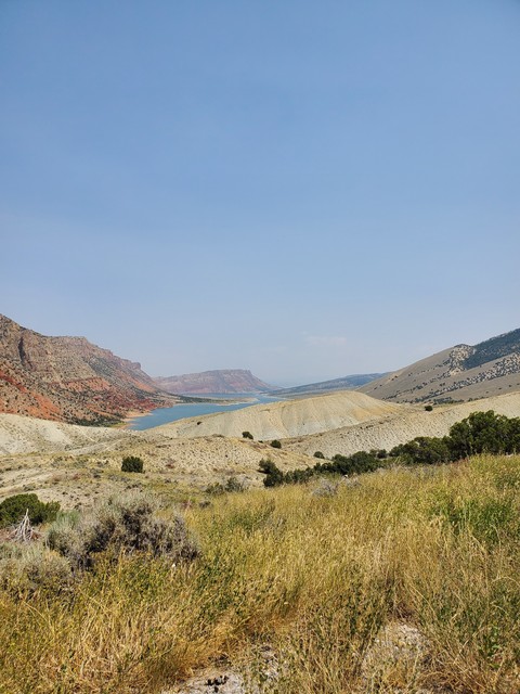 plant, landscape háttérképek