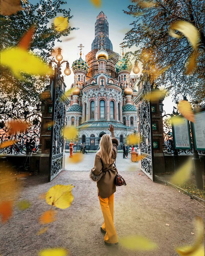 осень листья