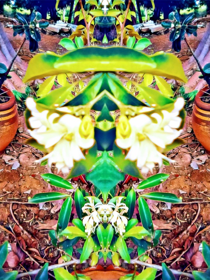 ?
