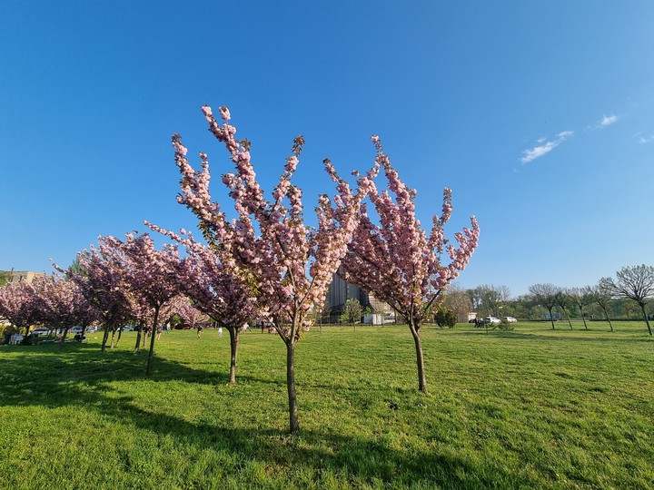 Spring