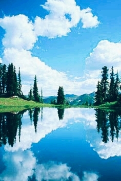 nature