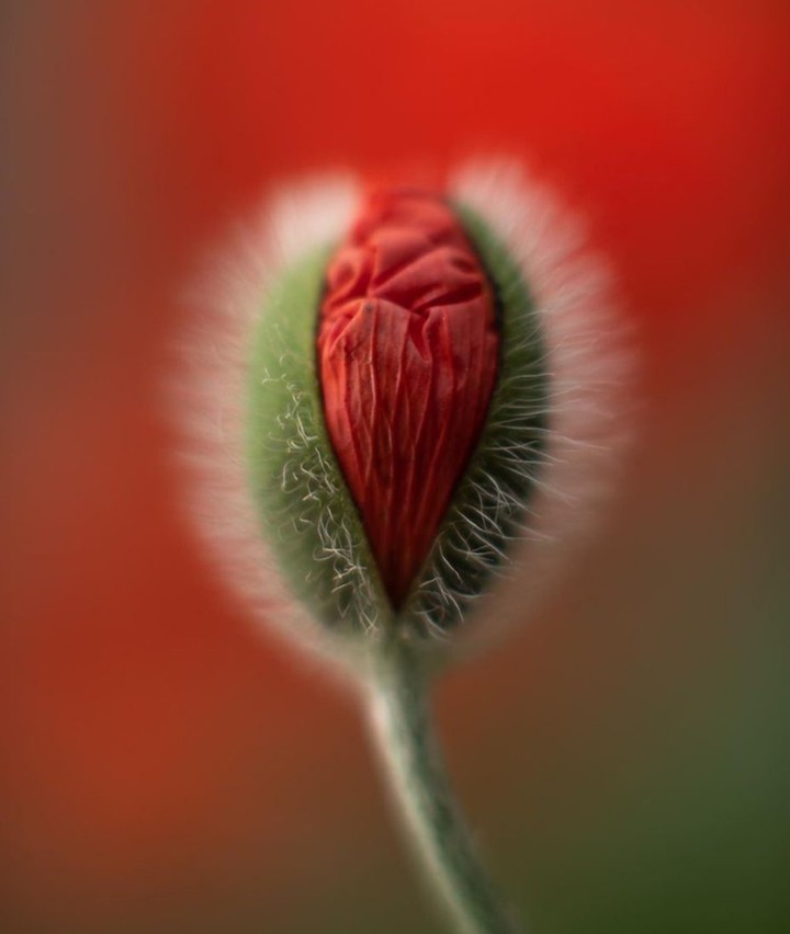 ,,,,