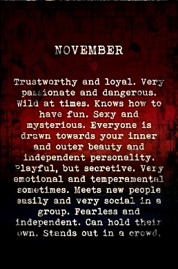 NoV BaBE