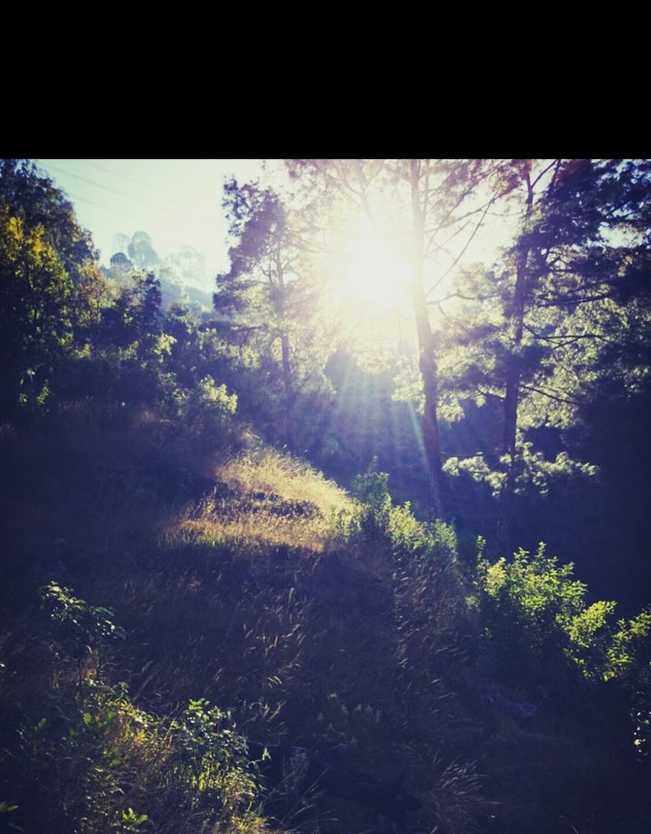 Nature