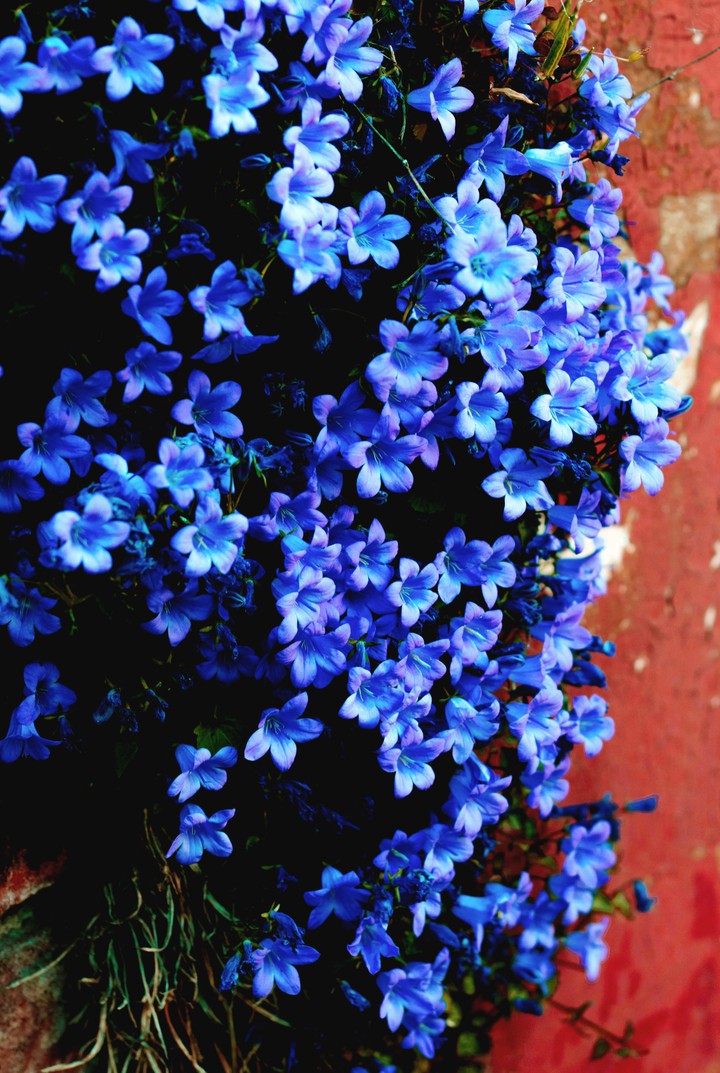 #blue aqua#