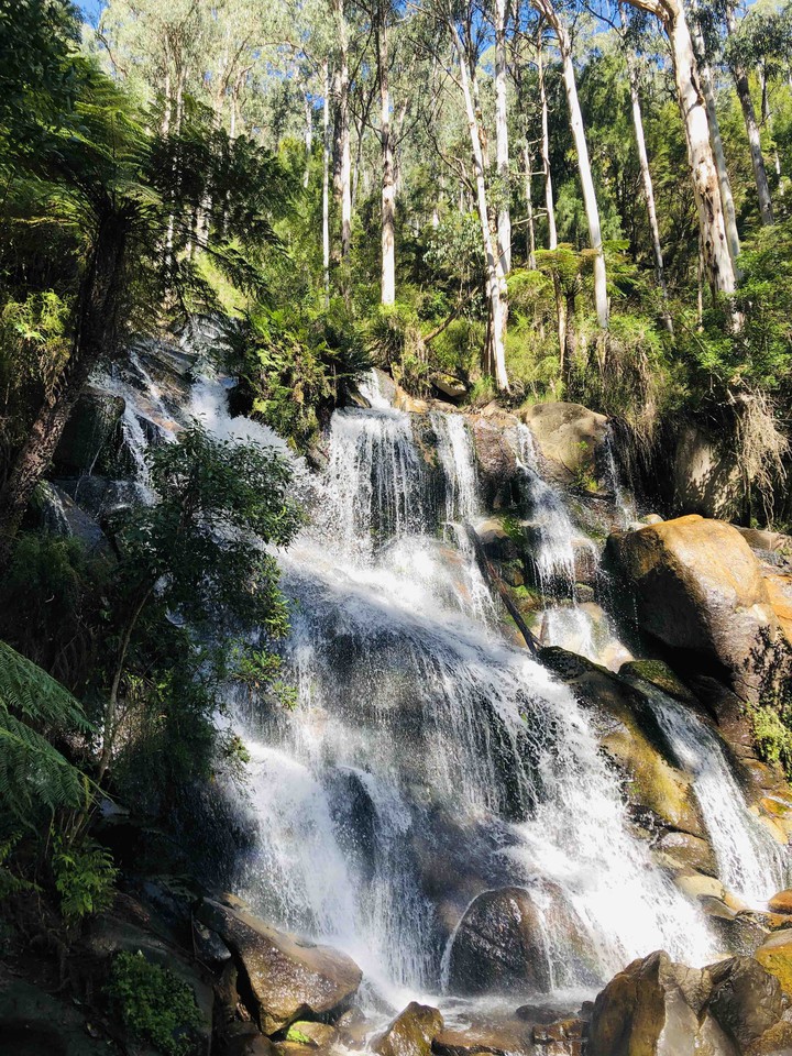 Torongoo falls-Nooje-Victoria