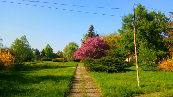 Spring Park Road