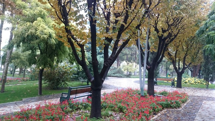 Tarbiat Modares University - Tehran