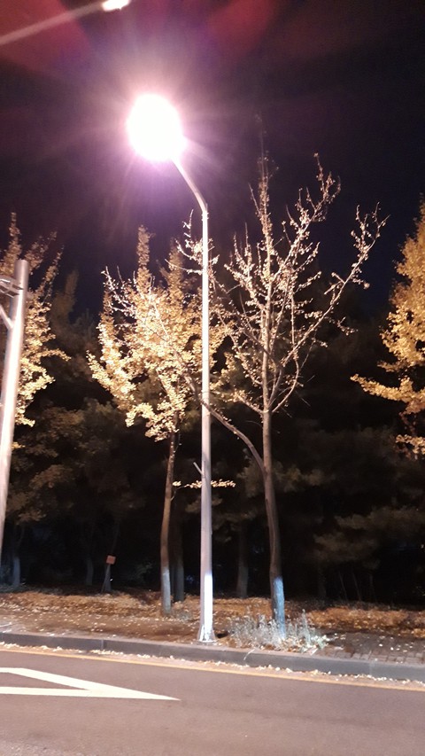 light