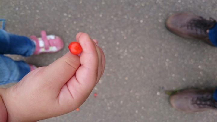 baby hand