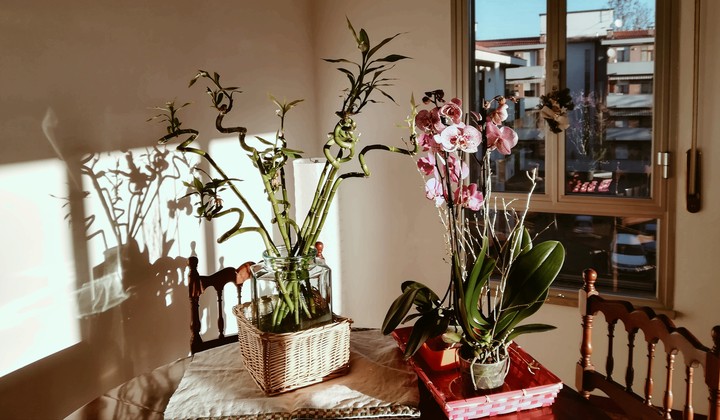 il primo sole del mattino