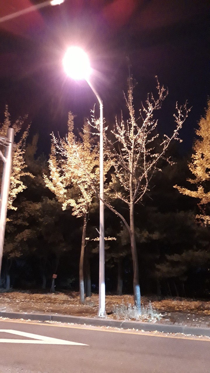 light