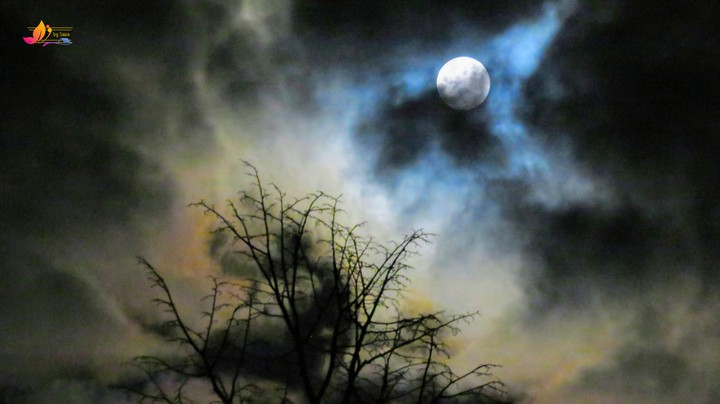 moon