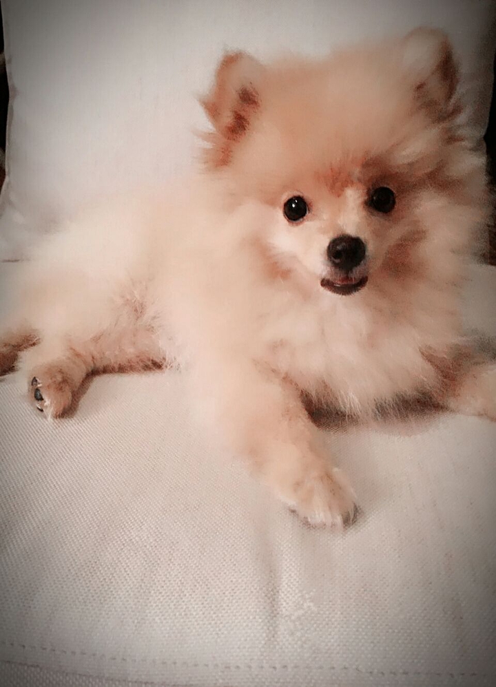 chloe