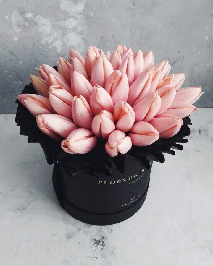 Tulips