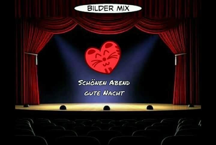 tolles Foto