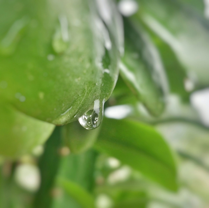mothernature
