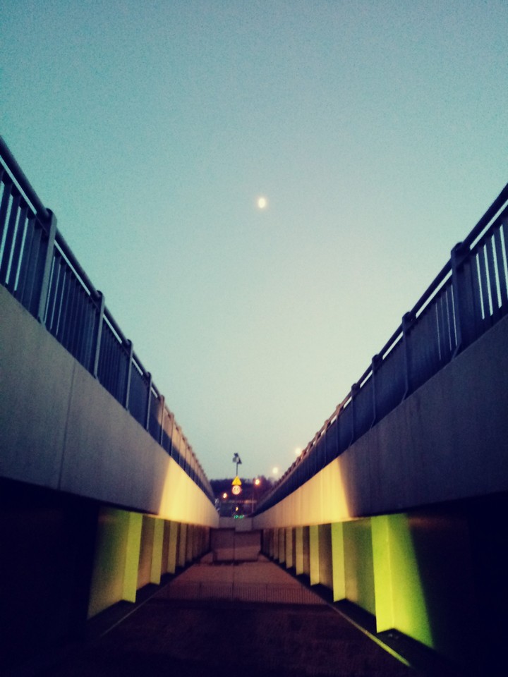 Lightley afternoon