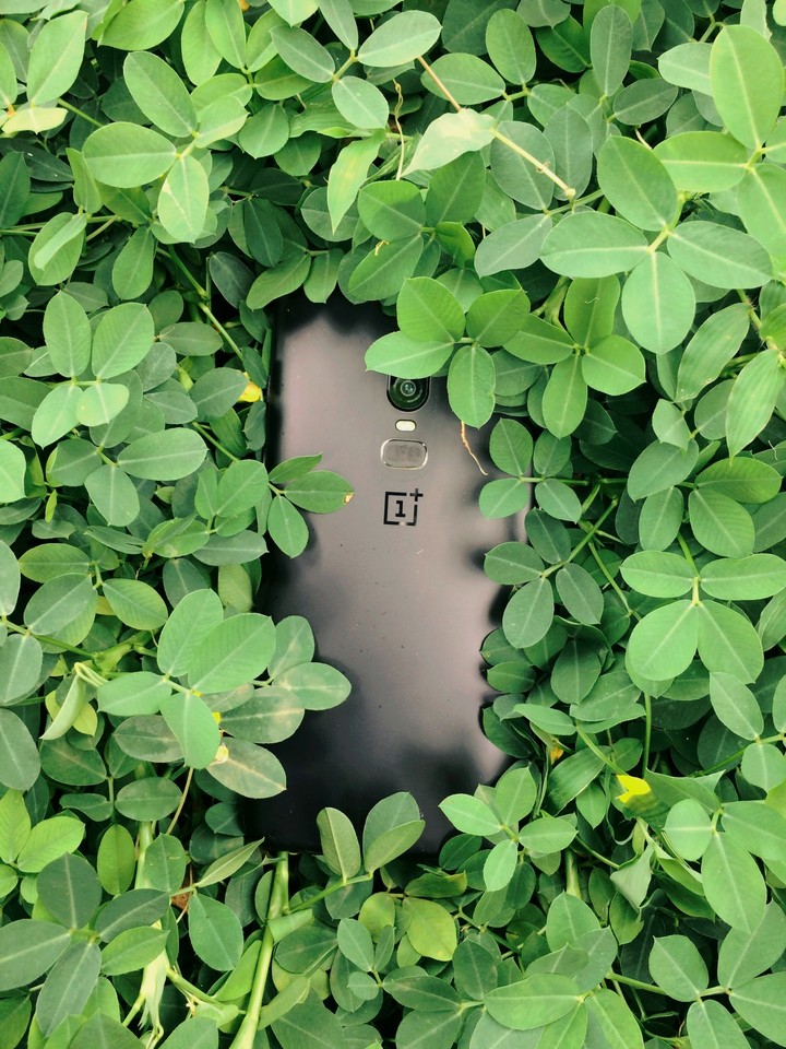 OnePlus 6
