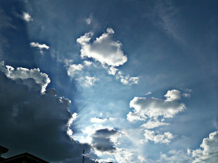 rays