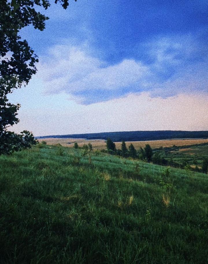 nature