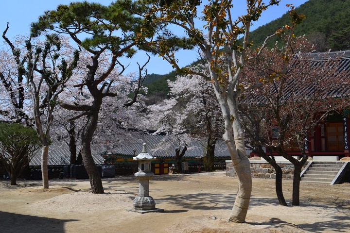 지리산이미지