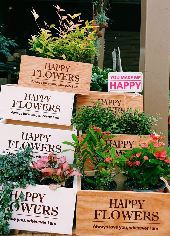 Happy  Flowers