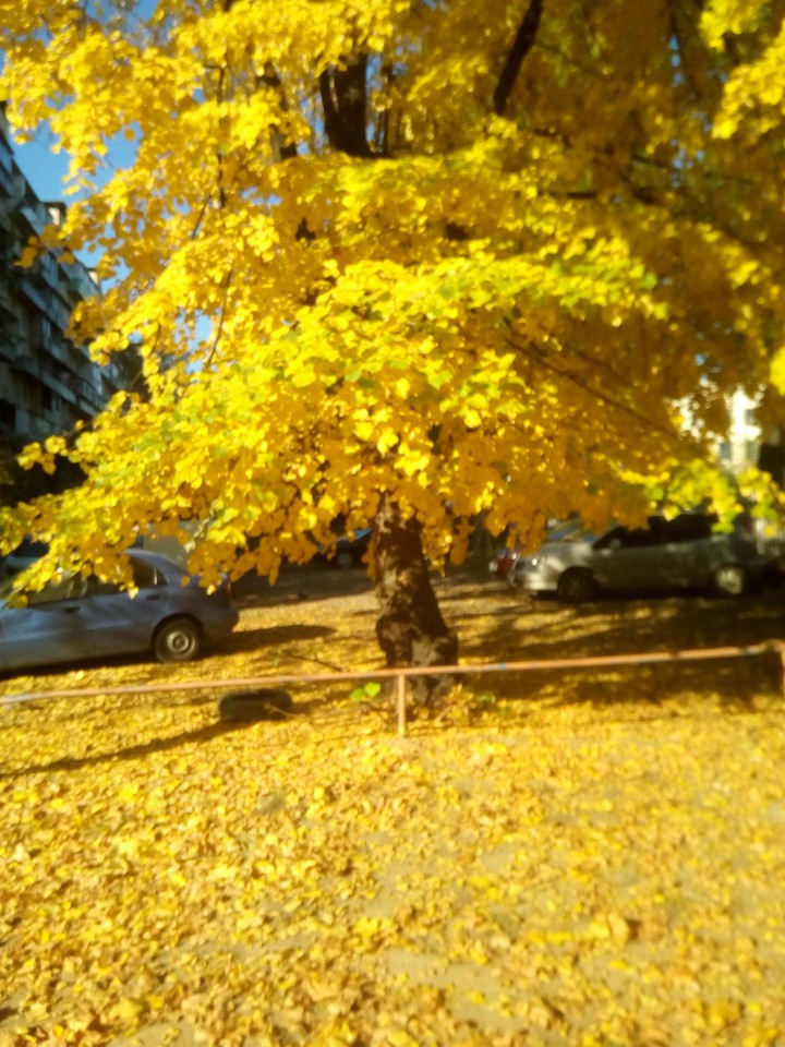 #i_loveОсінь