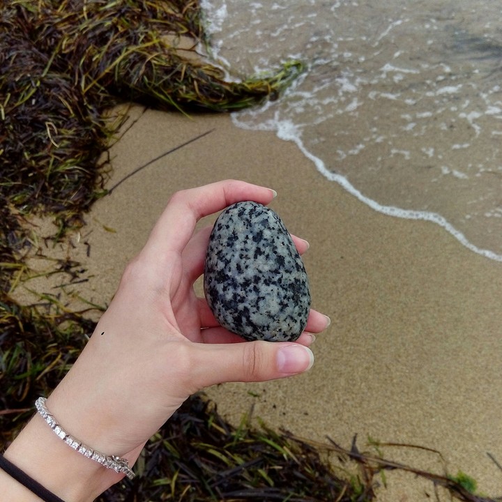 sea#