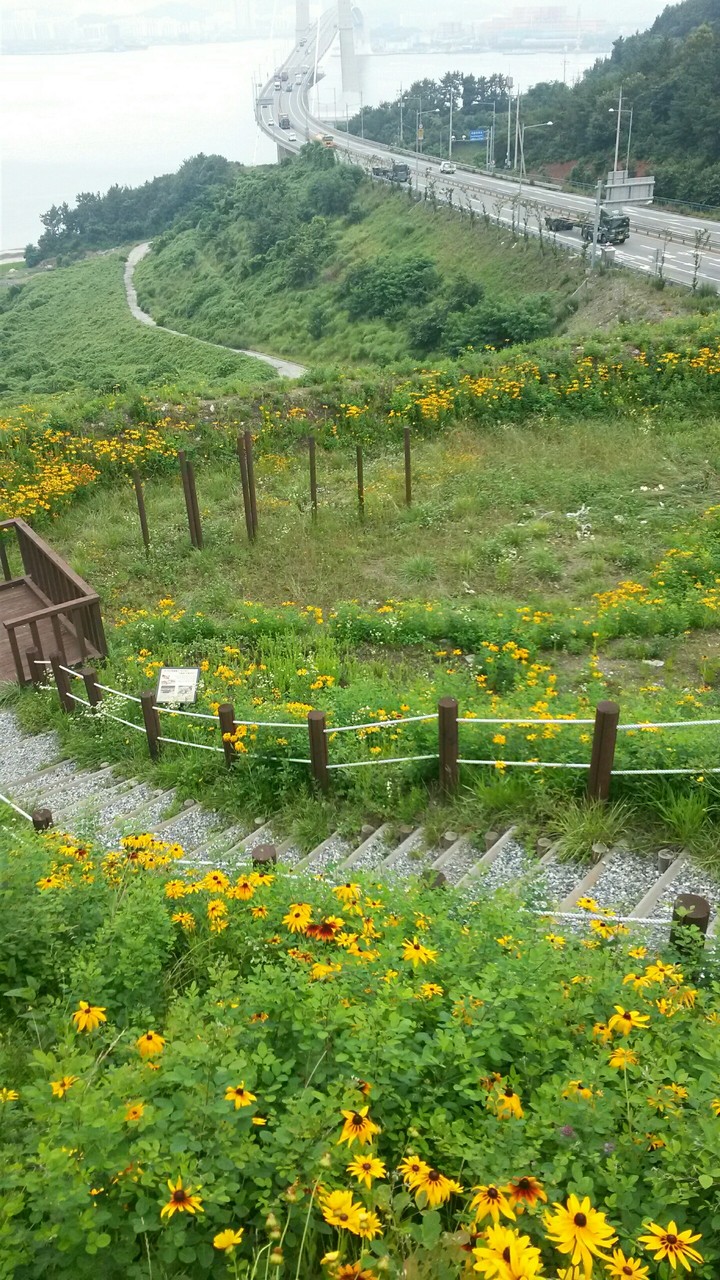 이순신대교
