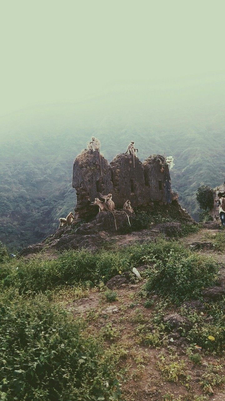 Montain