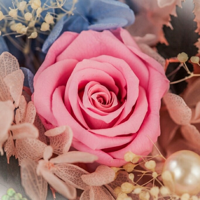for uu... juno