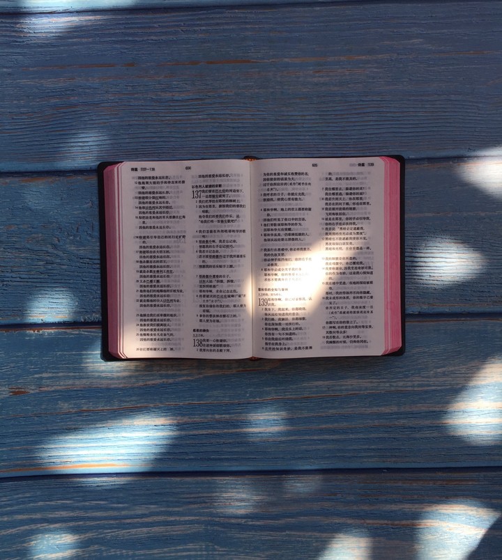 Bible Book