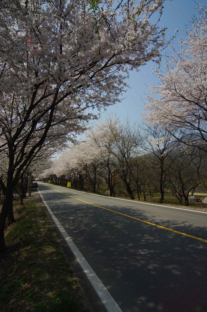Spring