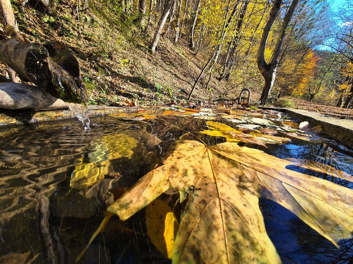 Autumn