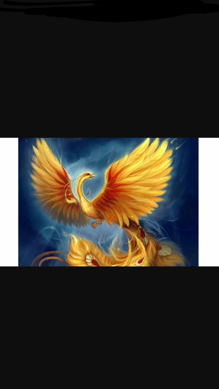 *PHOENIX