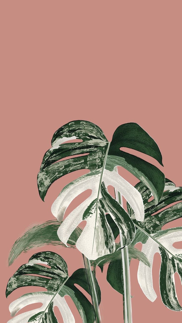 fondo