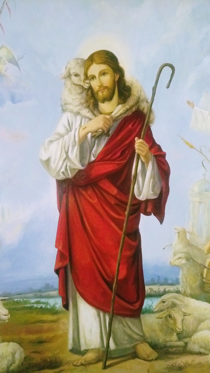 Jesus the sheered