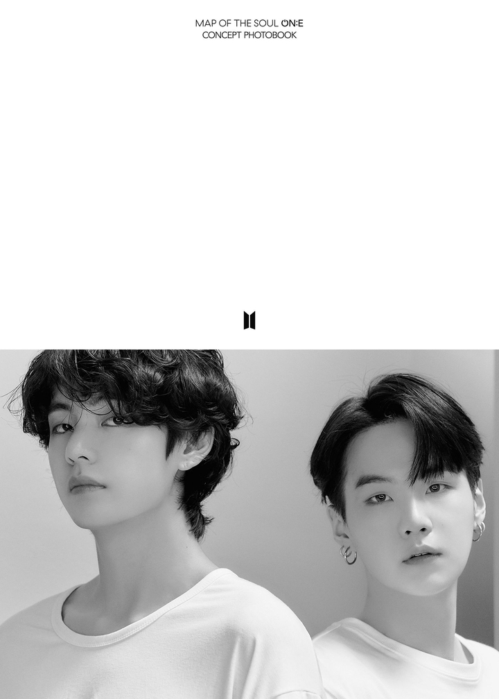 BTS V AND SUGA
