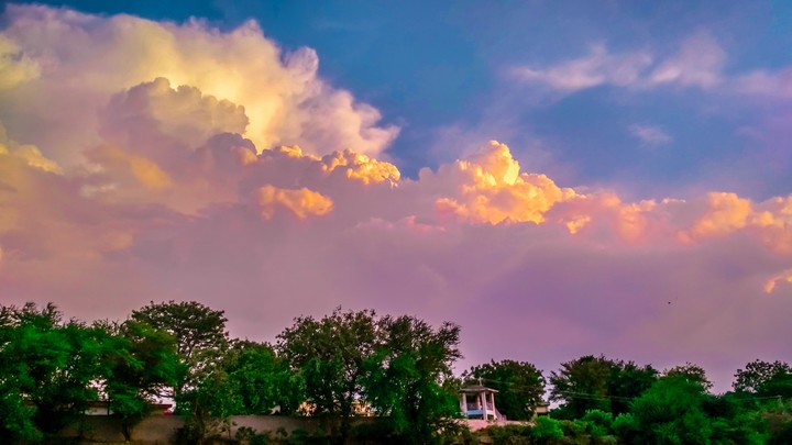 nature's beauty