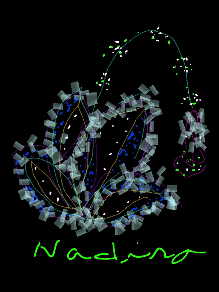 fleure de neige
